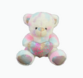 Sitting Rainbow Teddy