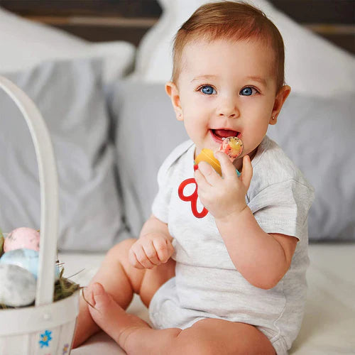 Fruit Nibbler & Baby Food Feeder Baby Teether
