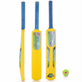 Big Cricket Kit
