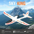 WLtoys F959S Sky King 3 Channel 2.4G radio control Airplanes