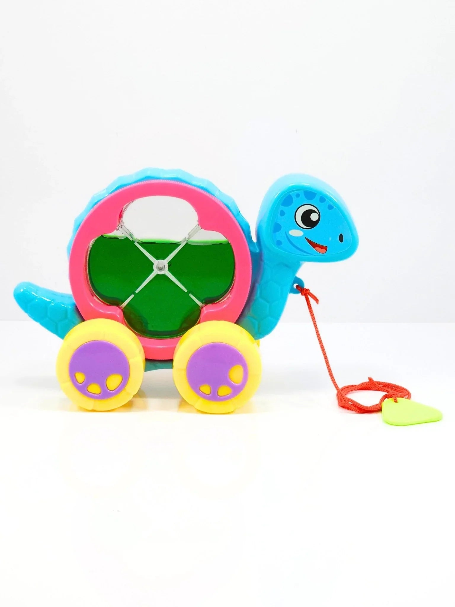 AQUA TURTLE