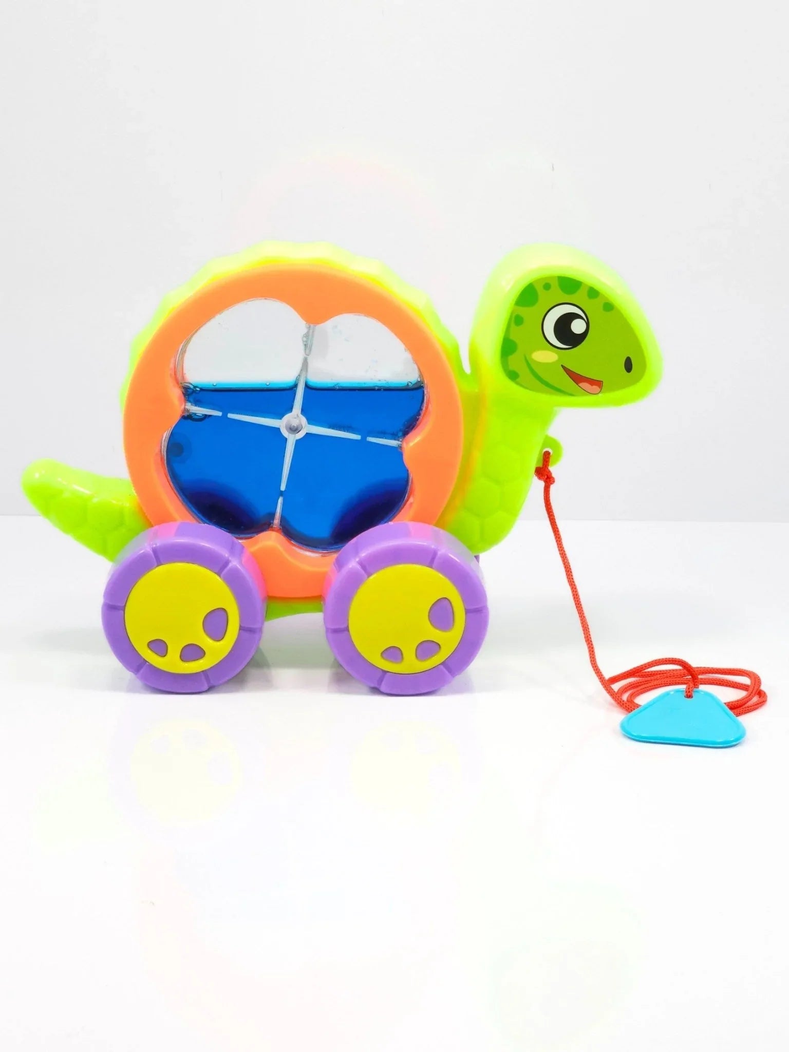 AQUA TURTLE